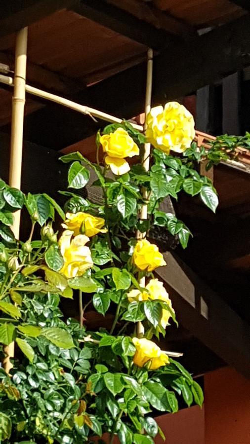 B&B La Cascina Di Monia E Mario Borgo Ticino ภายนอก รูปภาพ