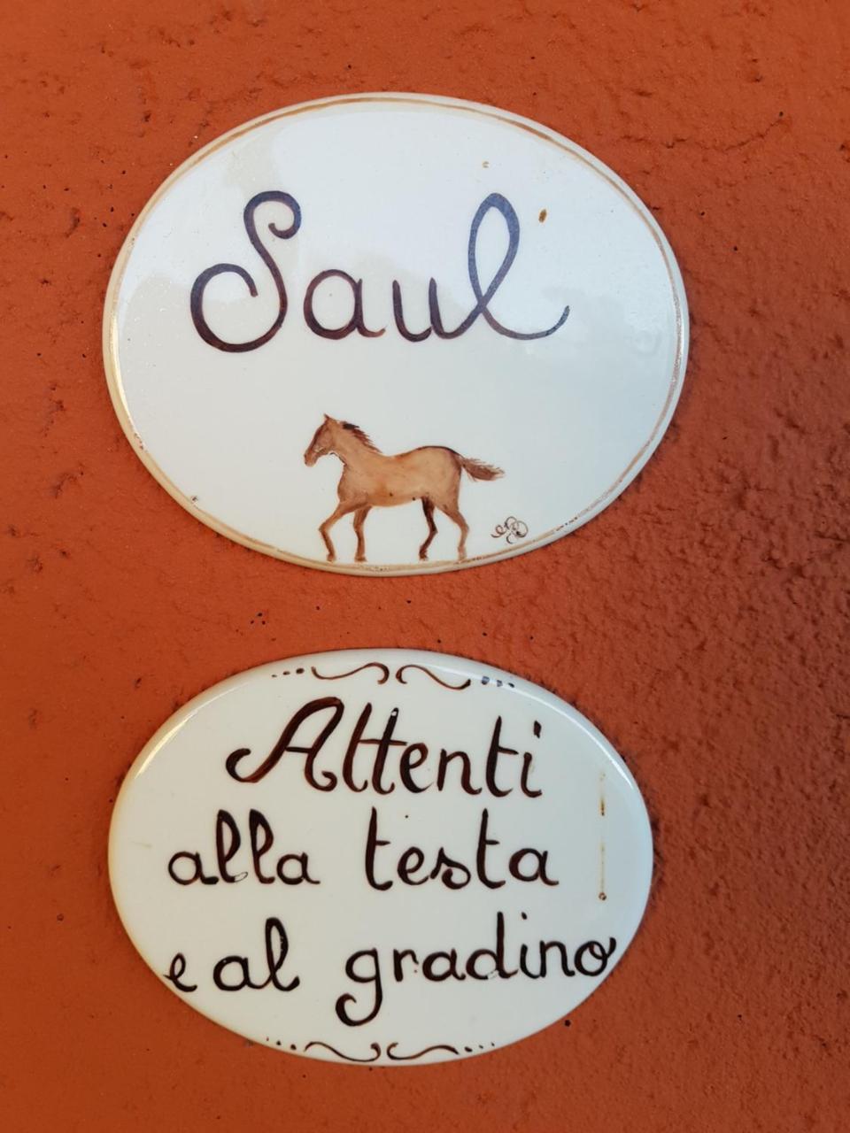 B&B La Cascina Di Monia E Mario Borgo Ticino ภายนอก รูปภาพ
